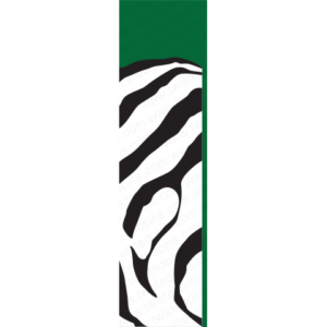 Big Game Stencil Kit