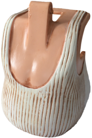 Champion Pub Boxer Body