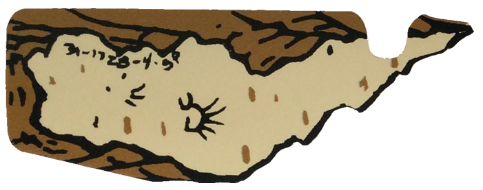 White Water Ramp Decal - Image 1