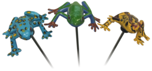 Scared Stiff Frog Assembly