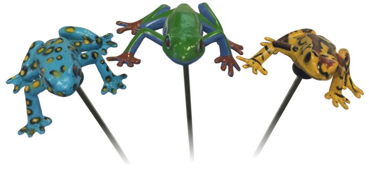 Scared Stiff Frog Assembly - Image 1