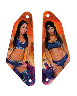 WWE Wrestlemania Slingshot Set