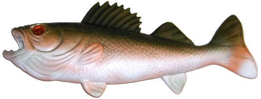 Fish Tales Fish Topper - Image 1