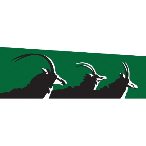 Big Game Stencil Kit - Image 1