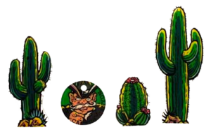 Cactus Canyon Plastic Key Fobs