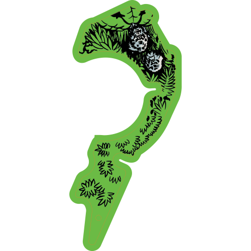 Congo Plastic 2 - Image 1