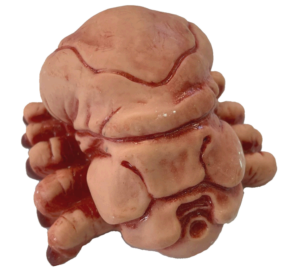 Starship Troopers Brain Bug