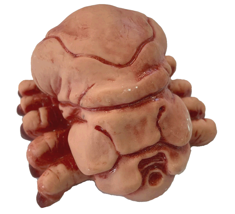 Starship Troopers Brain Bug - Image 1