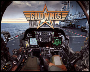 Gold Wing Alternate Translite