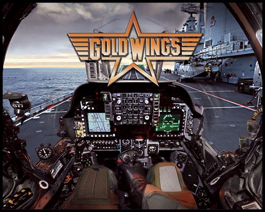 Gold Wing Alternate Translite