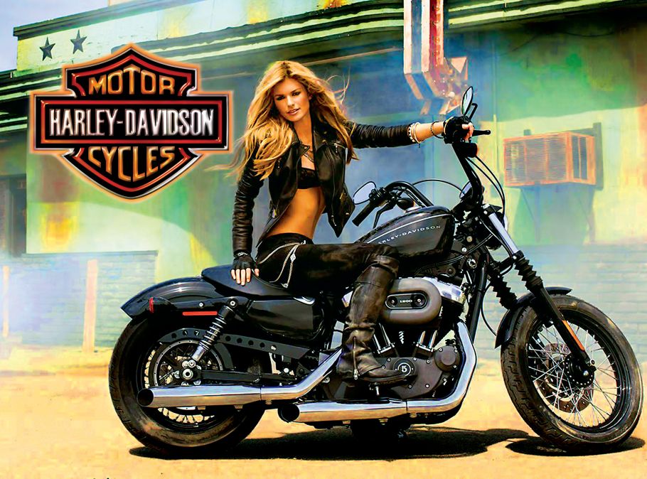 Harley Davidson Alternate Translite 2 - Image 1