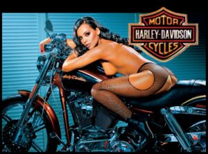 Harley Davidson Alternate Translite 4 (NSFW)