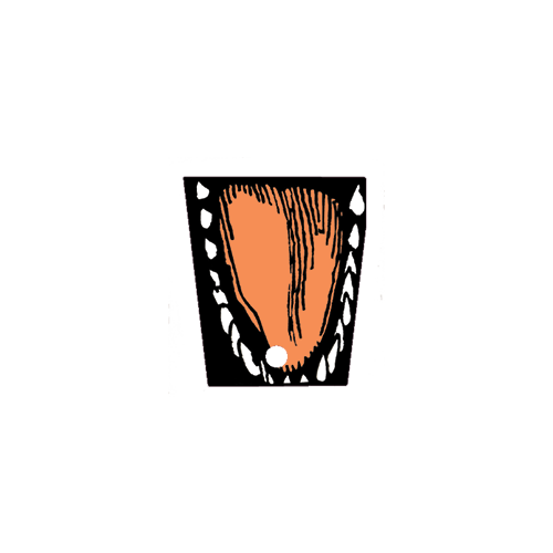 Jurassic Park Jaw Decal - Image 1