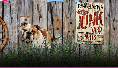 Junk Yard PinBlades - Image 3