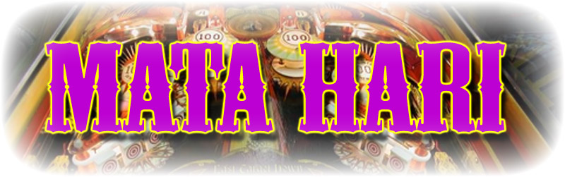 Mata Hari Playfield - Image 12