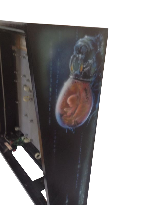 Cabinet Custom Paintjob - Image 2