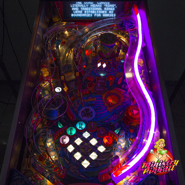 Cirqus Voltaire Neon 24-8872 - Image 4