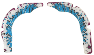 Custom Fish Tales Ramp Plastic Set 31-1676