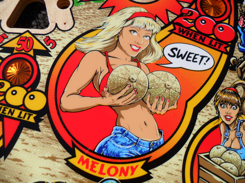 Whoa Nellie Big Juicy Melons Playfield - Image 4