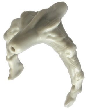 Scared Stiff Skeleton Rib