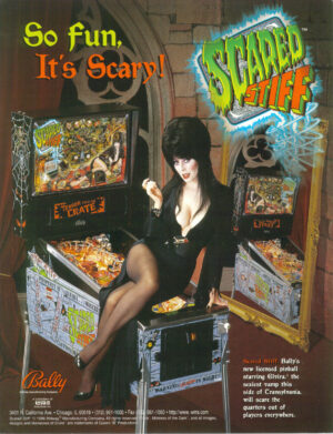 Scared Stiff Flyer