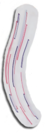 Theatre of Magic Right Ramp Decal 2