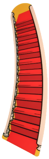 Theatre of Magic Right Ramp Decal 1