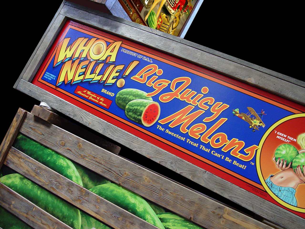 Whoa Nellie Big Juicy Melons The Game! - Image 3